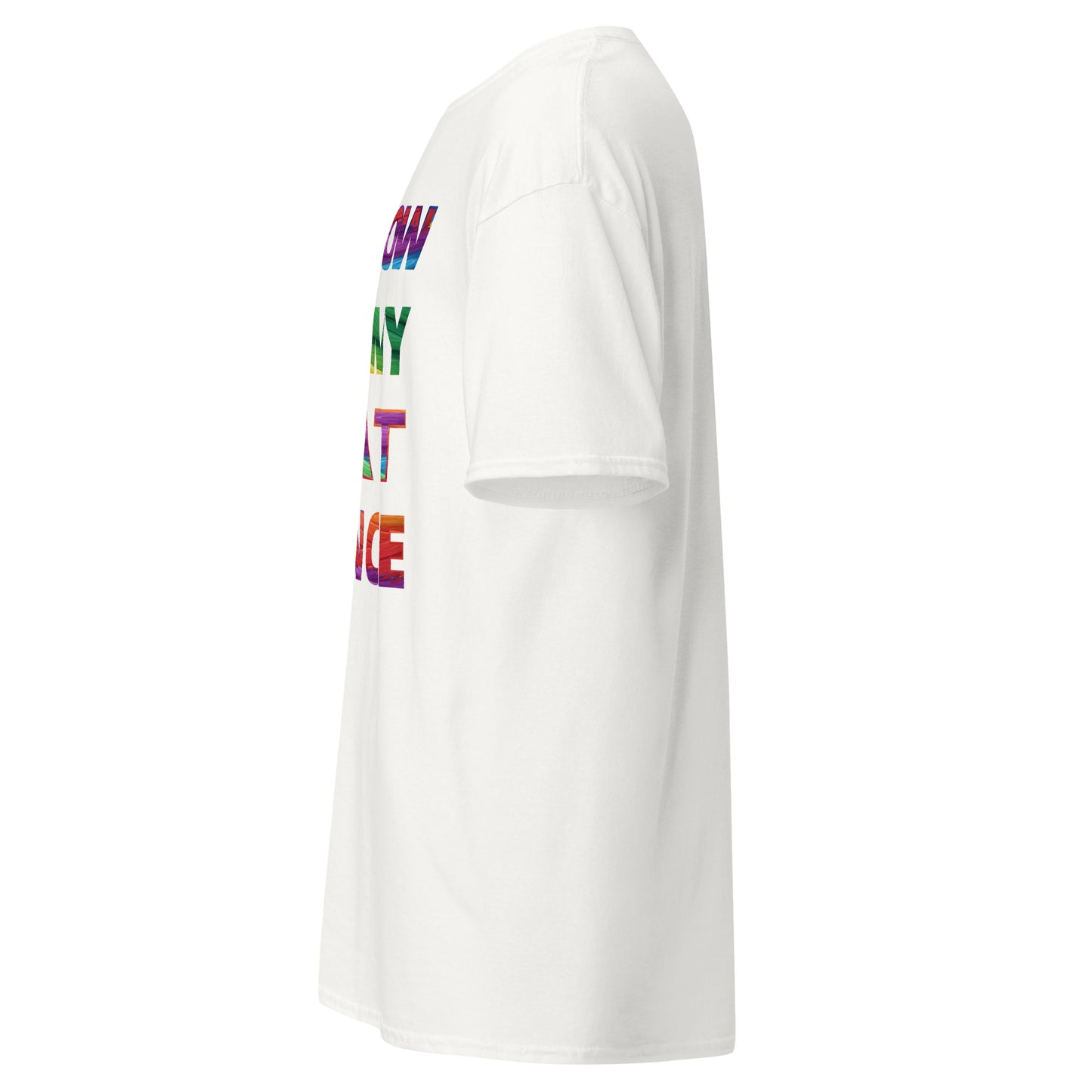 Text Only -  tee Rainbow Mummy Cat Dance